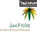 وزارة العمل الخدمات الإلكترونية الاستعلام عن موظف وافد السعودية برقم الاقامة او الجواز